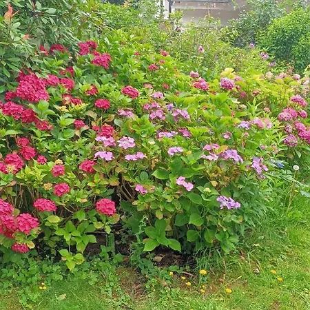 Komfortables Im Rechtsrheinischen *