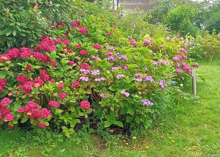 Komfortables Im Rechtsrheinischen *